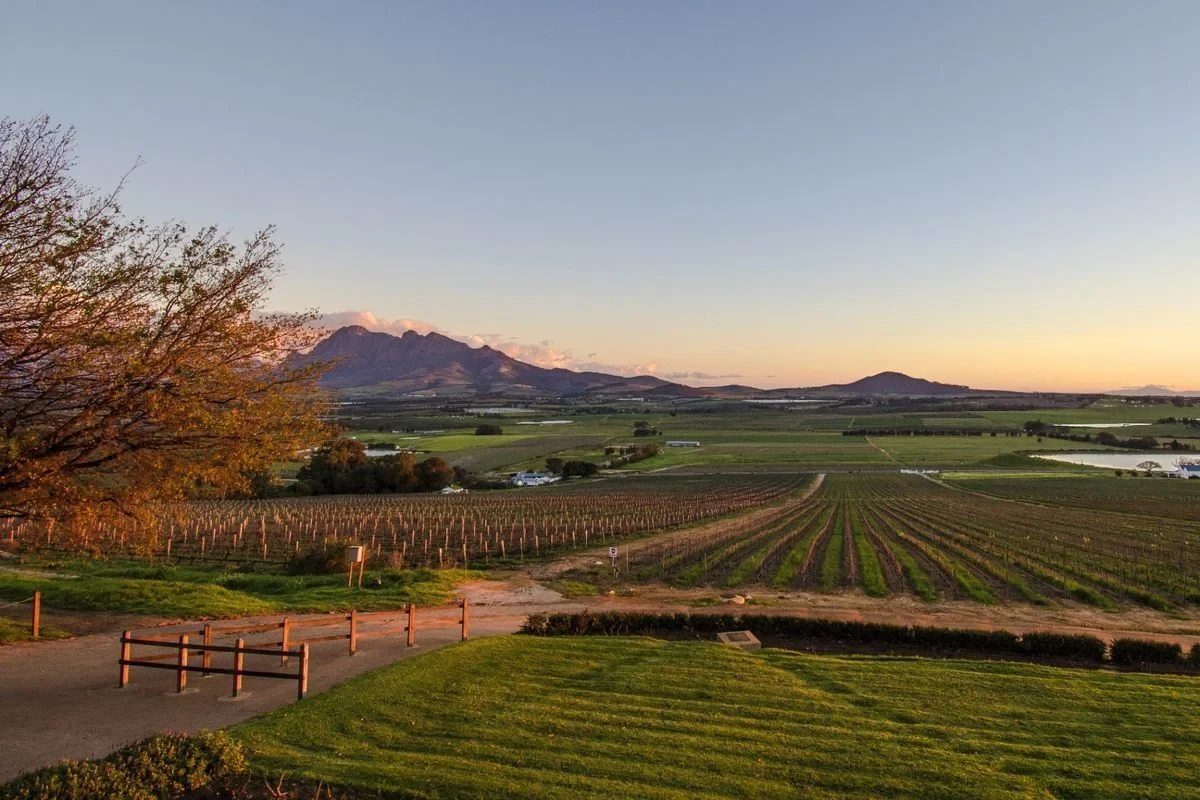 Cape Winelands by Motorcycle